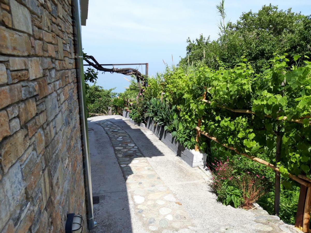 Appartement Ammos Papanero à Agios Ioannis  Extérieur photo