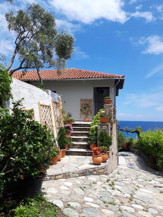 Appartement Ammos Papanero à Agios Ioannis  Extérieur photo